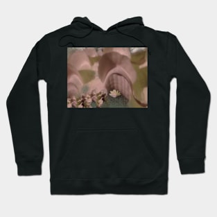 Frilly clams Hoodie